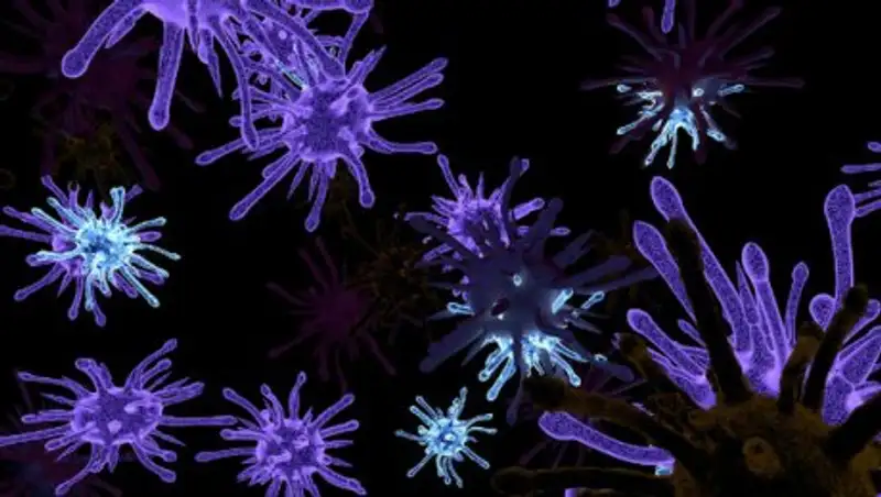 На Майорке в джакузи отеля 19 человек заразились смертельной болезнью