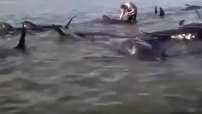 Zakon.kz, фото - Новости Zakon.kz от 16.05.2016 19:46