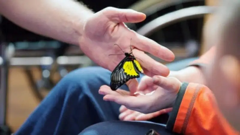 Как поддерживают детей с ограниченными возможностями в Астане