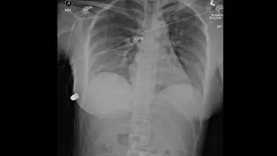 Gizmodo, фото - Новости Zakon.kz от 22.04.2020 10:32