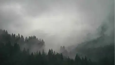 Штормовое предупреждение, фото - Новости Zakon.kz от 11.03.2022 15:27