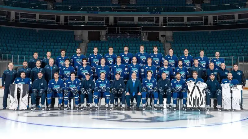 Чешский хоккеист заработает в "Барысе" за год более 100 миллионов тенге