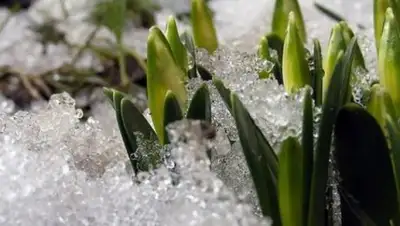 Zakon.kz, фото - Новости Zakon.kz от 27.03.2017 20:30