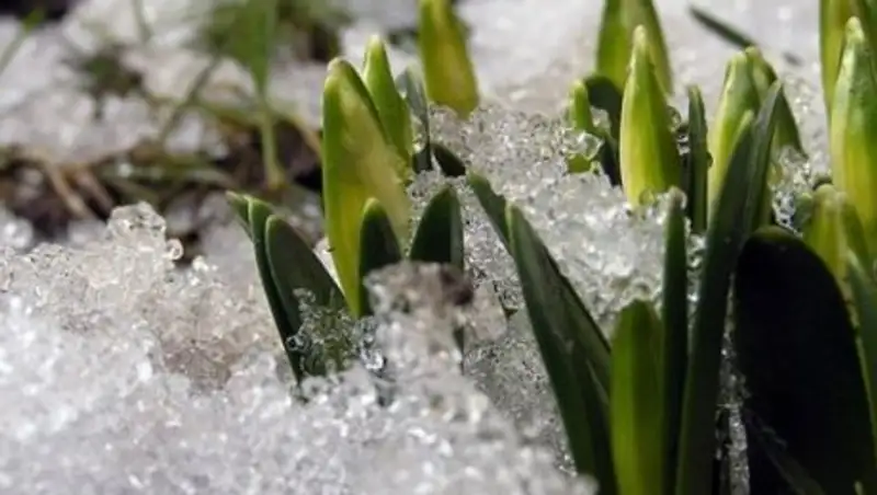 Прогноз погоды: Конец марта в Казахстане будет дождливым