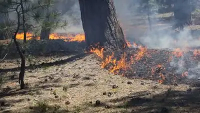 regnum.ru, фото - Новости Zakon.kz от 11.05.2021 11:52