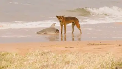 twitter, фото - Новости Zakon.kz от 26.04.2018 19:11