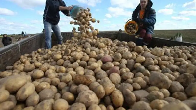 Водитель-казахстанец пострадал в ДТП в РФ, две молодые россиянки погибли