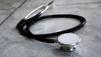 Pixabay, фото - Новости Zakon.kz от 11.02.2020 19:57