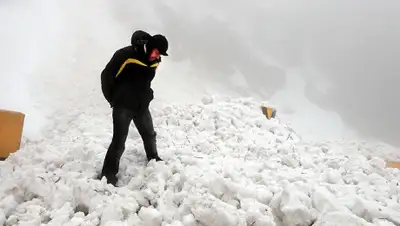 Zakon.kz, фото - Новости Zakon.kz от 01.03.2016 17:20