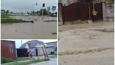 Zakon.kz, фото - Новости Zakon.kz от 17.05.2016 17:17