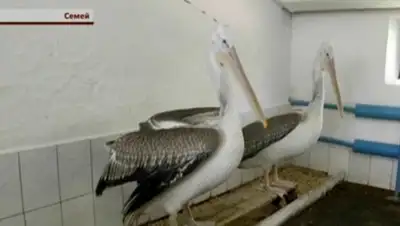 Zakon.kz, фото - Новости Zakon.kz от 05.05.2016 06:02