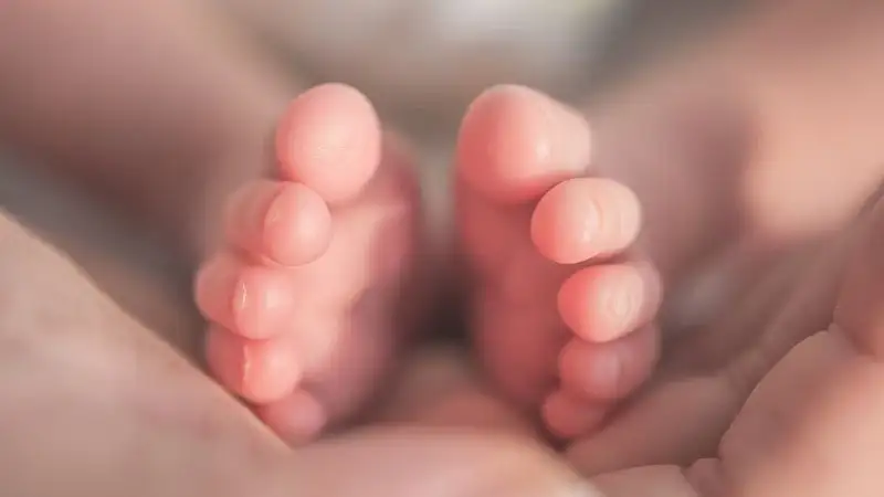 Сколько детей появилось на свет в День столицы