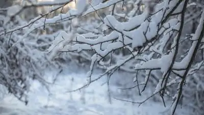 Zakon.kz, фото - Новости Zakon.kz от 28.11.2016 12:00