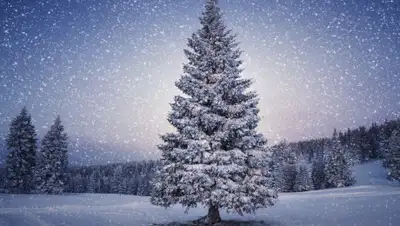 bipbap.ru, фото - Новости Zakon.kz от 24.01.2020 06:05