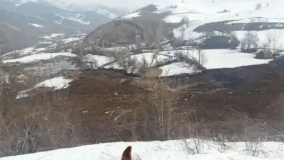 Zakon.kz, фото - Новости Zakon.kz от 26.03.2017 19:02