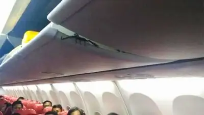 Istimewa/Detik, фото - Новости Zakon.kz от 18.02.2019 06:26