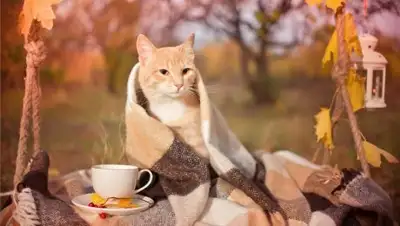 Zakon.kz, фото - Новости Zakon.kz от 15.09.2017 06:00