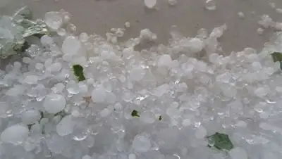 Zakon.kz, фото - Новости Zakon.kz от 29.07.2014 15:44