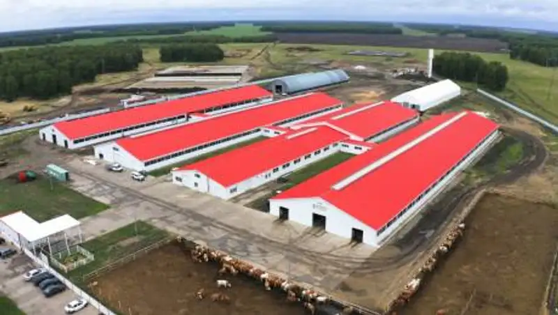 Каждая третья молочная ферма в Казахстане построена в СКО