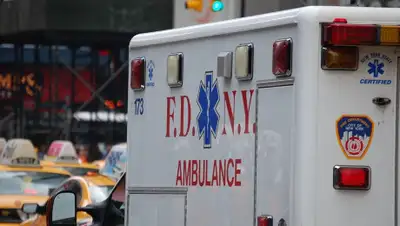 Pixabay, фото - Новости Zakon.kz от 21.03.2020 23:52