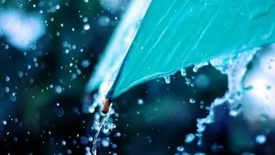 informburo.kz, фото - Новости Zakon.kz от 27.03.2019 14:15