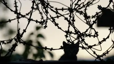 Zakon.kz, фото - Новости Zakon.kz от 23.05.2015 05:18