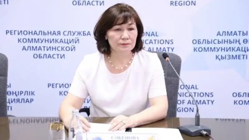 Как в Алматинской области работает Закон РК «О коллекторской деятельности»