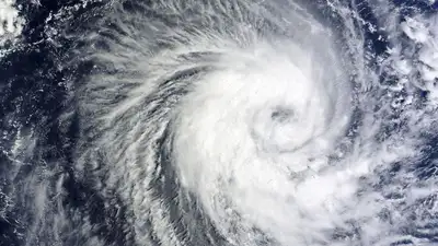 Число погибших из-за циклона в Бразилии возросло до 42 человек