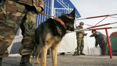 Zakon.kz, фото - Новости Zakon.kz от 19.08.2015 22:52