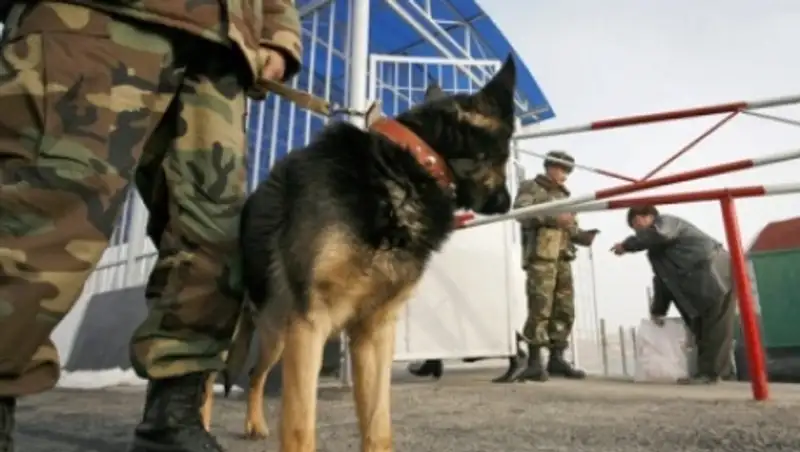 Работавших на границе с Киргизией таможенников РК трудоустроят