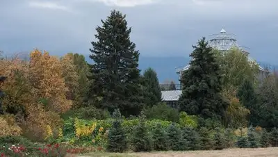 ©  Тимур Батыршин, фото - Новости Zakon.kz от 26.09.2018 19:51