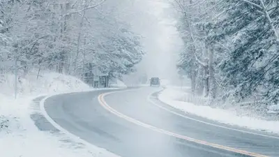 pexels, фото - Новости Zakon.kz от 15.11.2021 16:09