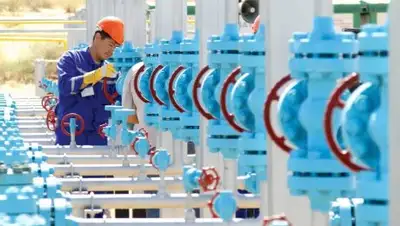 Zakon.kz, фото - Новости Zakon.kz от 16.10.2017 15:51