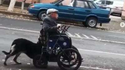 Кадр из видео, фото - Новости Zakon.kz от 02.03.2020 18:03