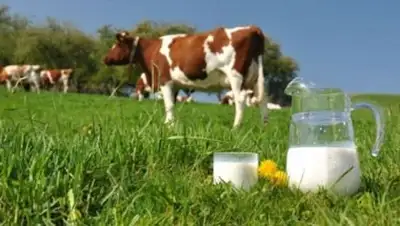 Zakon.kz, фото - Новости Zakon.kz от 15.08.2014 03:28