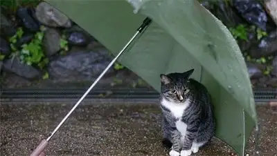 Zakon.kz, фото - Новости Zakon.kz от 03.10.2014 14:56