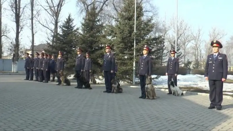 Алматинские кинологи прошли обучение у представителей Центрального Командования США