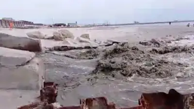 Кадр из видео, фото - Новости Zakon.kz от 12.05.2019 06:12