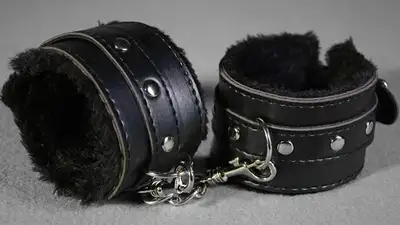 Спецоперацию по ликвидации секс-притонов провела полиция в Павлодарской области, фото - Новости Zakon.kz от 23.08.2023 12:22