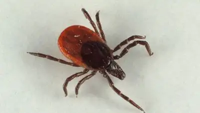 Zakon.kz, фото - Новости Zakon.kz от 17.04.2014 02:00