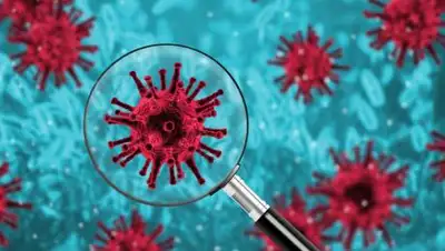 depositphotos.com, фото - Новости Zakon.kz от 24.01.2021 08:01