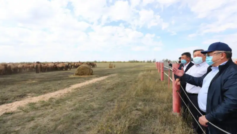 Сапархан Омаров: В Актюбинской области имеется высокий аграрный потенциал