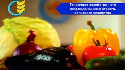 Zakon.kz, фото - Новости Zakon.kz от 22.12.2016 17:04