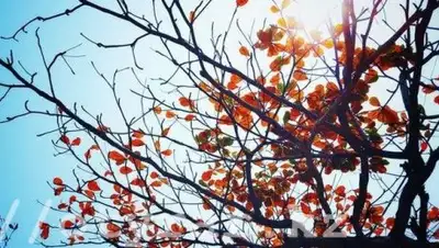 otyrar.kz, фото - Новости Zakon.kz от 28.09.2018 09:29