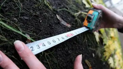 24.kz, фото - Новости Zakon.kz от 23.02.2021 10:24