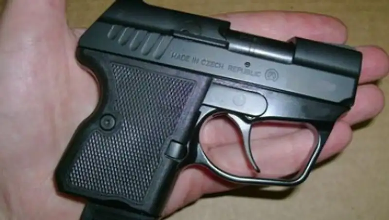 В ЗКО жителя села оштрафовали за расстрел кошки из пневматического пистолета