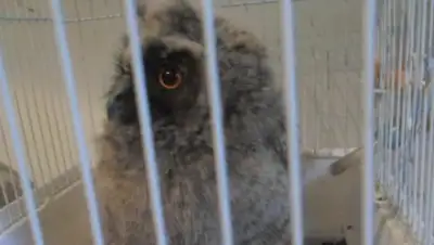 Zakon.kz, фото - Новости Zakon.kz от 31.05.2016 21:56