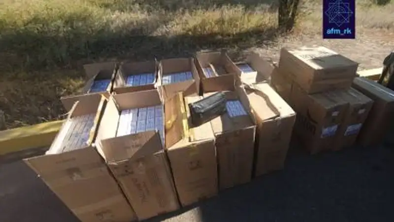 Казахстанец оштрафован почти на 3 млн тенге за контрабанду табака в Россию