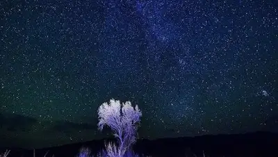 Фото © Sputnik / Анатолий Устиненко, фото - Новости Zakon.kz от 13.12.2017 21:11