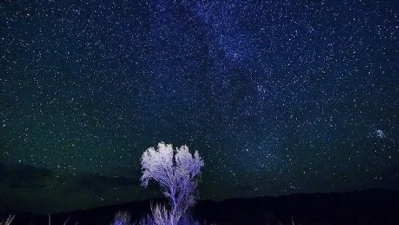 Этой ночью казахстанцы смогут полюбоваться ярким звездопадом